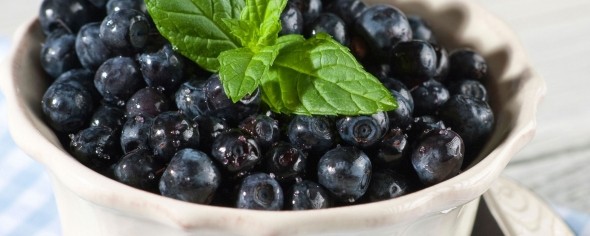 Wild Blueberries