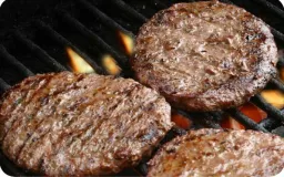 Free Range Bison Patties