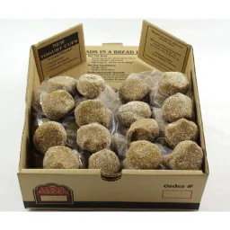Ginger Molasses - 40's - M